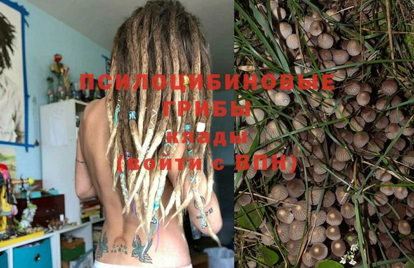 прущая мука Медвежьегорск