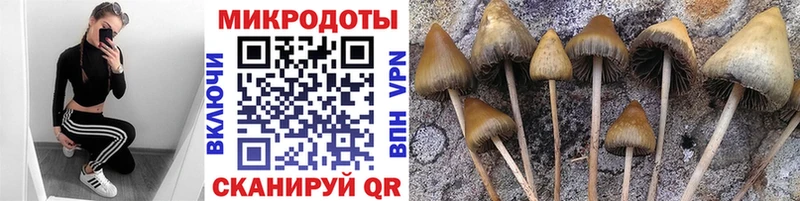 Псилоцибиновые грибы мухоморы  Купить  Котлас 