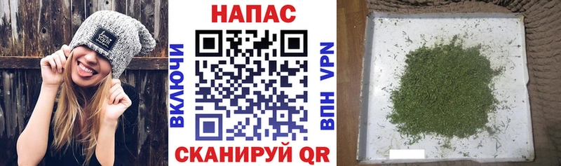 Купить где  Котлас  Каннабис сатива 